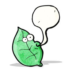 cartoon leaf with speech bubble N11