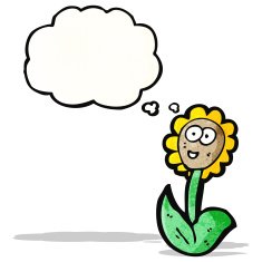 cartoon flower with thought bubble N41