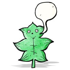 Cartoon Leaf N44
