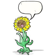 Cartoon Sunflower N20