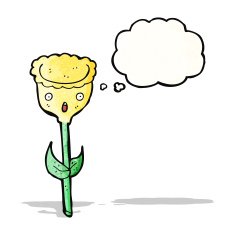 tulip cartoon character N2