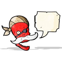 Cartoon Pirate Skull N7