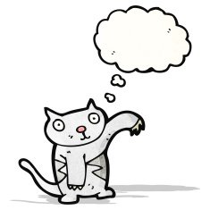 cartoon cat with thought bubble N63
