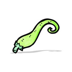 cartoon green chili pepper