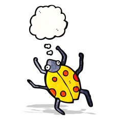 cartoon ladybug with thought bubble N2