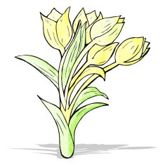 flowers illustration N3