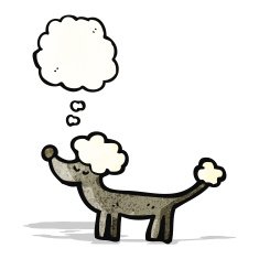 cartoon poodle with thought bubble N2