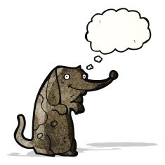 funny little dog with thought bubble
