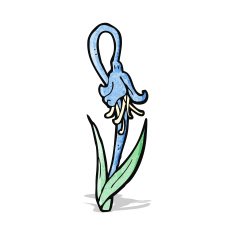 blue flower cartoon N4