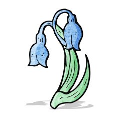 blue flower cartoon N7