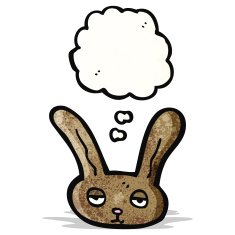 Cartoon Bunny Face N3