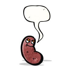cartoon kidney bean