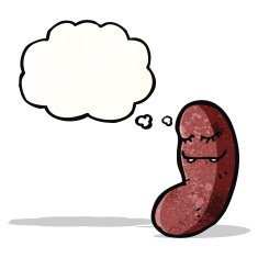 cartoon kidney with thought bubble N2
