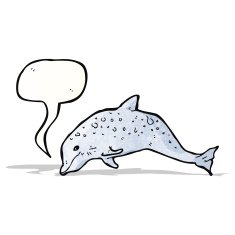 dolphin illustration N3