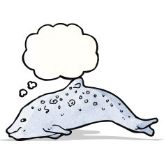 Cartoon Dolphin N15