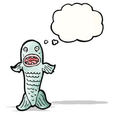 Cartoon Fish N53