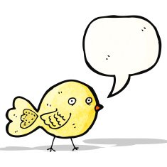 funny cartoon bird N24