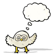 Cartoon Owl N70