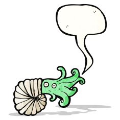 Nautilus Squid Cartoon N3