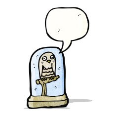 stuffed owl cartoon