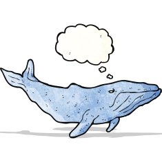 cartoon whale with thought bubble N42