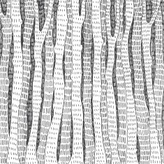 abstract hand drawn forest
