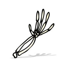cartoon skeleton arm N7