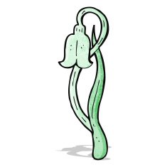 cartoon snowdrop N3