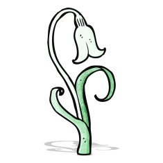 cartoon snowdrop N4