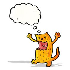 cartoon angry cat with thought bubble