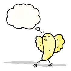 cartoon funny bird with thought bubble N12