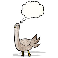 cartoon funny bird with thought bubble N13
