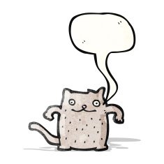 funny cartoon cat N92