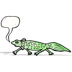 Cartoon Salamander N8