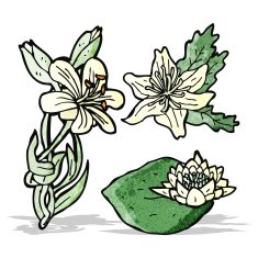 Cartoon Flowers N31