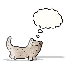 cartoon cat with thought bubble N78