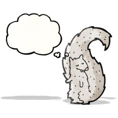 Cartoon Squirrel N33