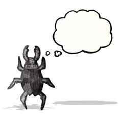 Cartoon Beetle N27
