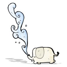 cute elephant squirting water