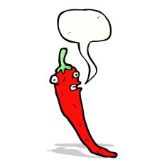 chili pepper with speech bubble N2