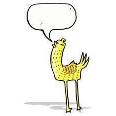 funny cartoon bird N26