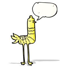 funny cartoon bird N28
