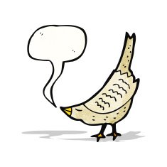 singing bird cartoon N8