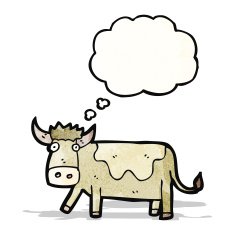 Cartoon Cow N49