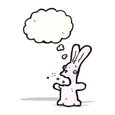 Funny bunny N5