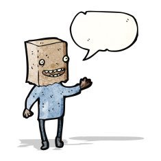 ugly man with bag on head N2