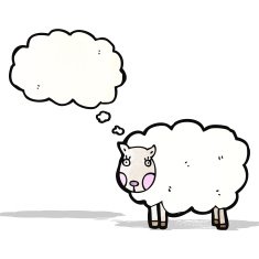 Cartoon Sheep N31