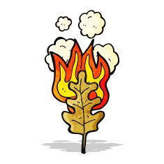 cartoon flaming leaf
