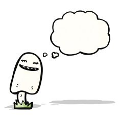 cartoon mushroom N24