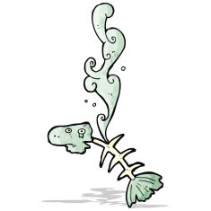 Cartoon Fish Bones N13